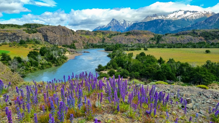 Patagonia