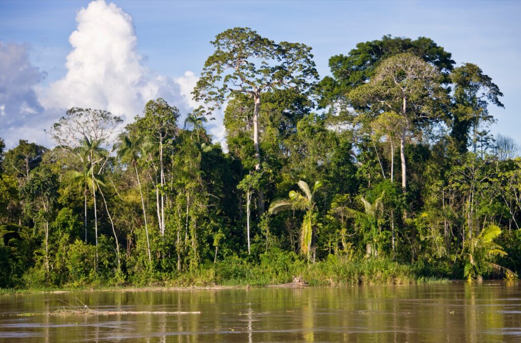 Brasil Amazónico