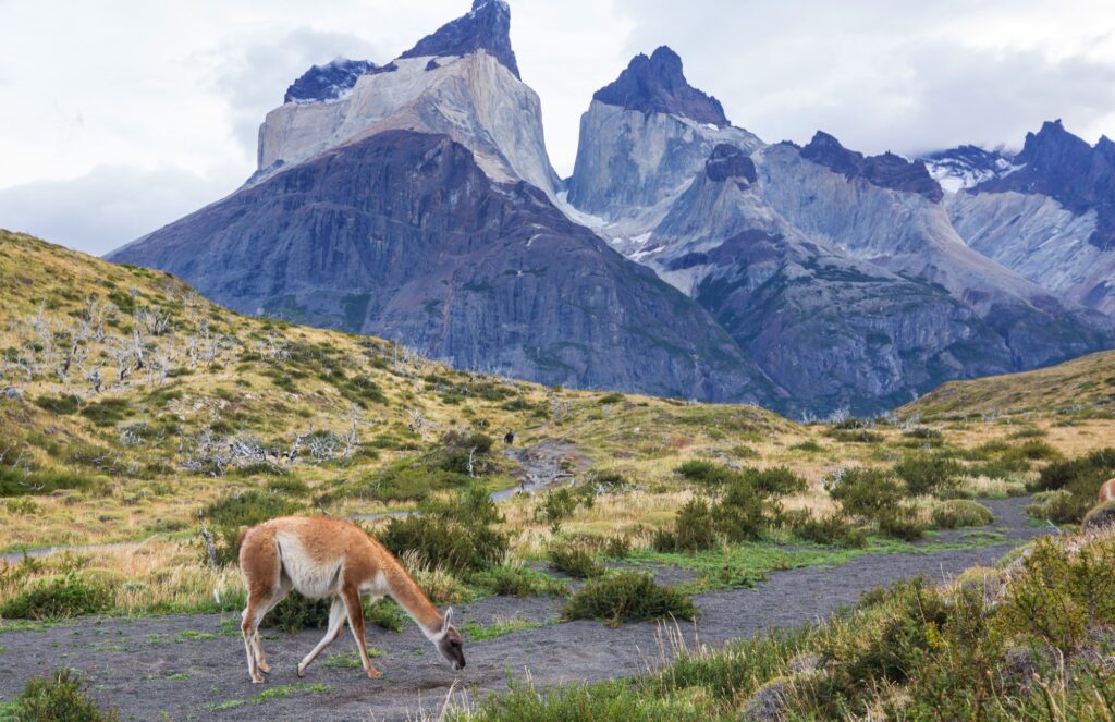 Puerto Varas – Puerto Natales