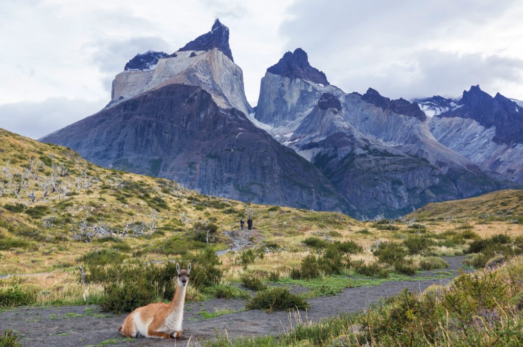 Expedición a la Antártida: el Continente Blanco